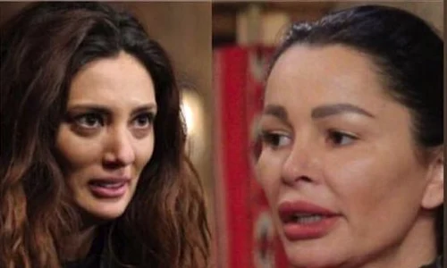 „Duelul secolului” la Ferma! Claudia Pavel și Brigitte „s au bătut” și în ring, nu doar în replici  jpeg