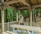 Amenajare pădure parc în Râmnicu Vâlcea Foto Primăria Râmnicu Vâlcea jpg