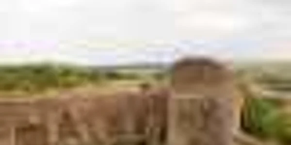 Cetatea de la Slimnic este unul dintre cele mai importante monumente istorice ale judeţului
