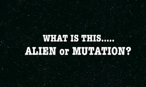 alien jpeg