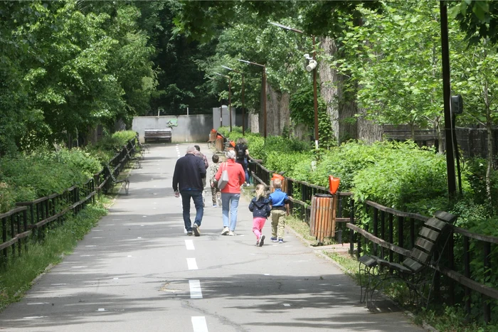 Bucureștenii s-au relaxat la Zoo, în prima zi de "libertate"