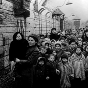 holocaust foto tvr jpg