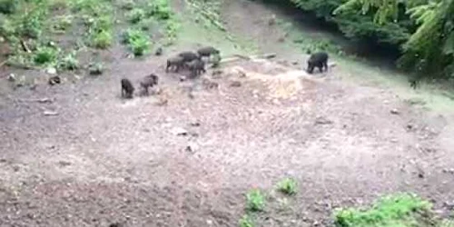 5ed0b4845163ec42714515dc jpg