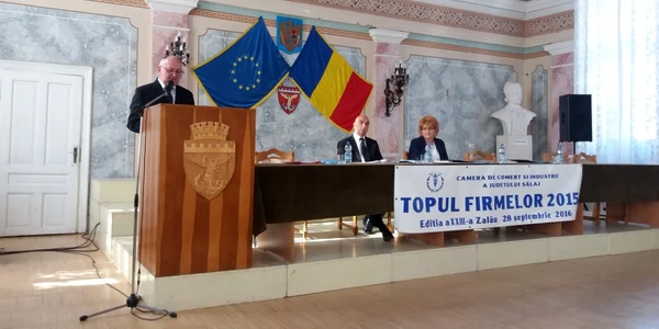 topul firmelor salaj