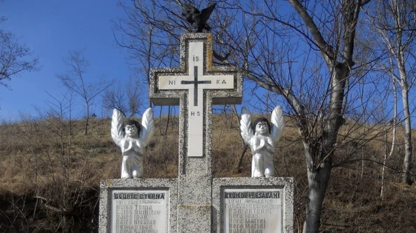 «Monumentele Marelui Război»: Monumentul eroilor din satul Presaca, județul Sibiu / FOTO jpeg