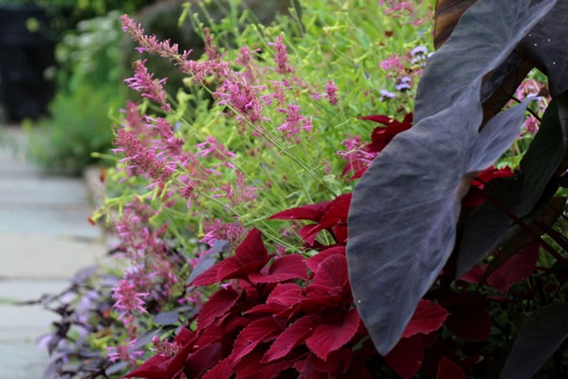 redhead marie viljoen gardenista jpg jpeg