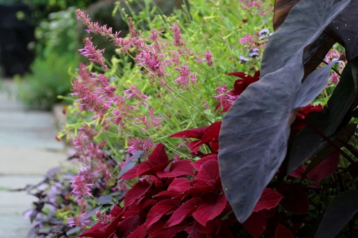 redhead marie viljoen gardenista jpg jpeg