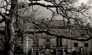 castel vila copac abstract shutterstock 11536762 jpeg