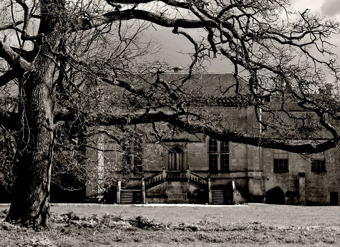 Castelul Arundel, Angliafoto: Wikipedia