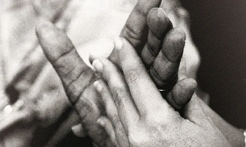 1185060 500351493402784 1884159140 n jpeg