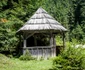 Valea Mare 4