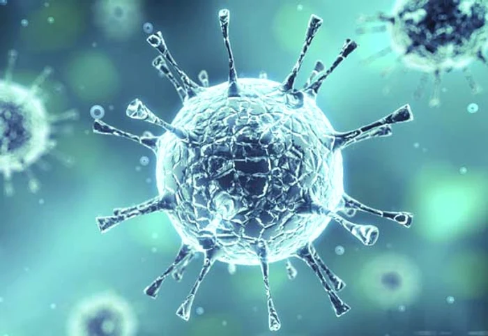 
    Infecţia din sânge i-a distrus chipul   