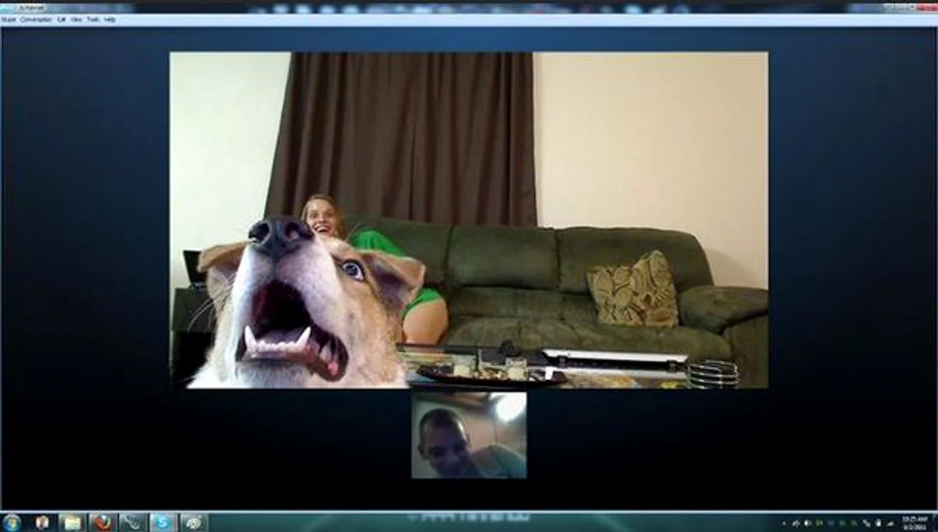 Căţel, fascinat de Skype