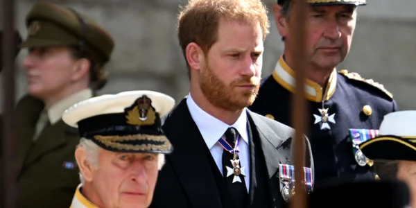 printul harry regele charles foto profimedia 0724136221 jpg