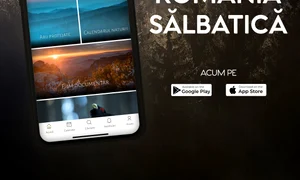 aplicatia romania salbatica jpg