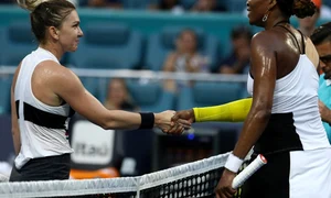 mare halep simona williams venus miami gettyimages 1138269402 jpeg