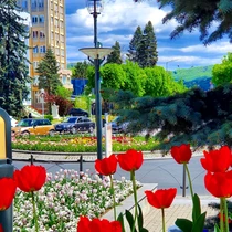 Amenajări florale pe străzile din Râmnicu Vâlcea Foto Poze şi lucruri frumoase