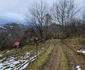 Satul Grohot și cătunul Străuți, Munții Apuseni, decembrie 2023 Foto Daniel Guță ADEVĂRUL (39) jpg