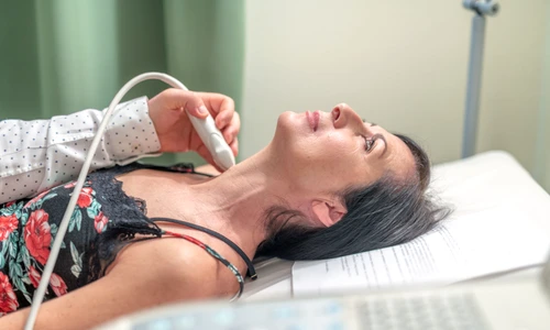 1 shutterstock 1405209065 jpg jpeg