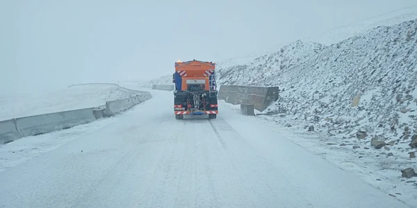 transalpina viscol1 jpg