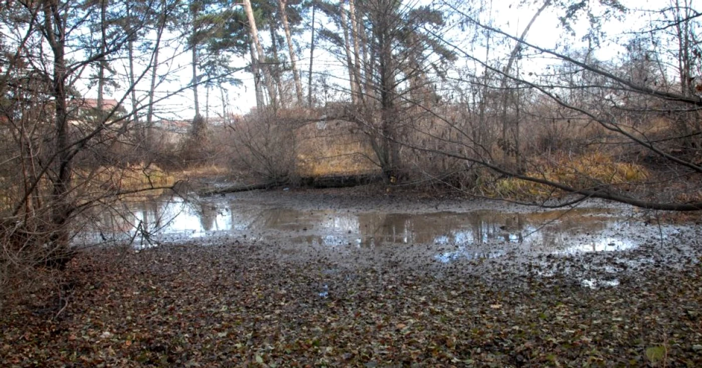 Lacul cu nuferi din Băile 1 Mai este în pericol din cauza exploatării necontrolate a apei termale