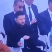 zele gif gif
