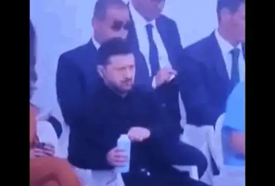 zele gif gif