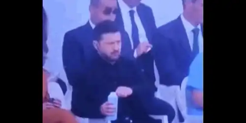 zele gif gif