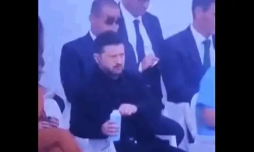 zele gif gif