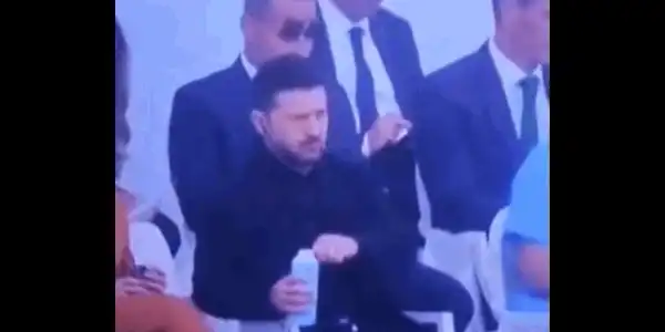 zele gif gif