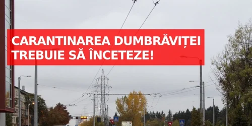 Dumbraviţa