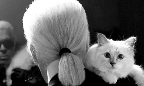 Monocromatica excentrică  Karl Lagerfeld, moştenitorul casei Chanel jpeg