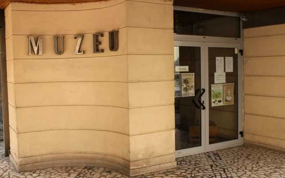 Proiectul aparţine Muzeului de Istorie din Galaţi. Foto: Adevărul