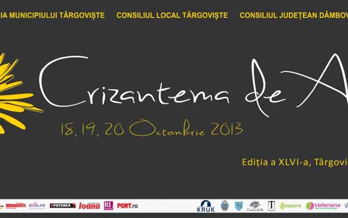 crizantema de aur 2013
