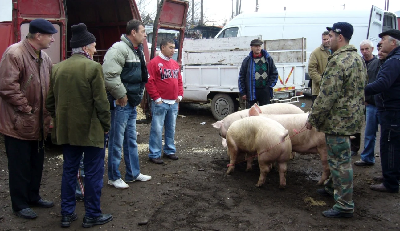 Oborul din Buzău este deschis în fiecare duminică