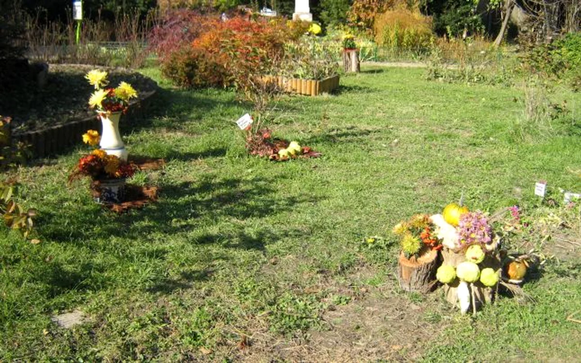 Bucureşti: Grădina Botanică
