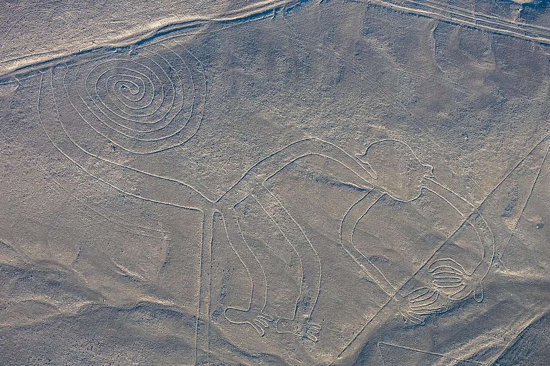 Liniile Nazca: maimuța (el mono), în 2015