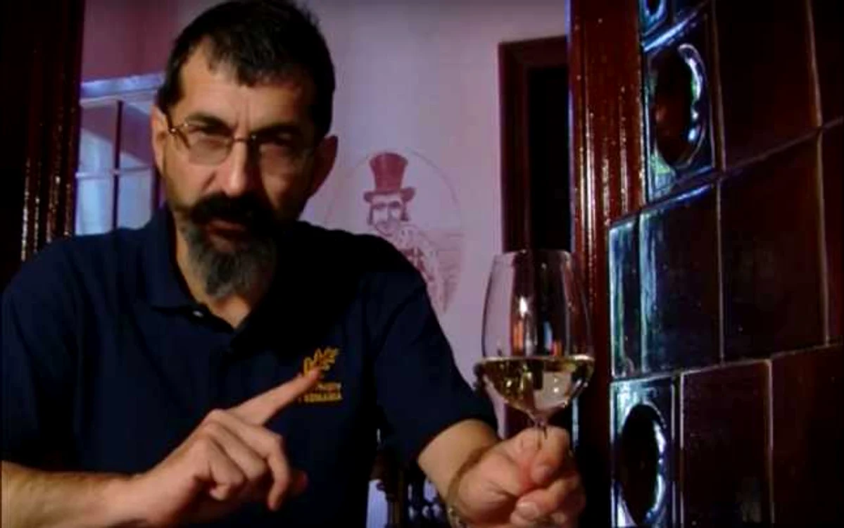 Cosmin Zidurean, 1964-2016