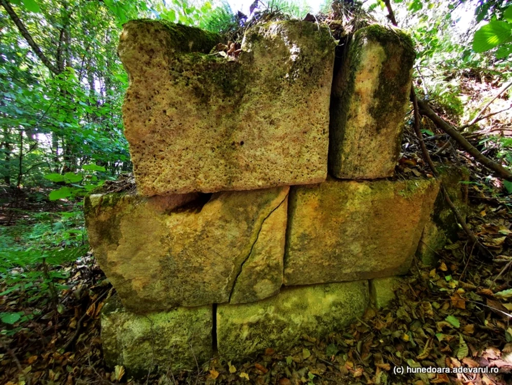 cetatea dacica blidaru foto daniel guta adevarul