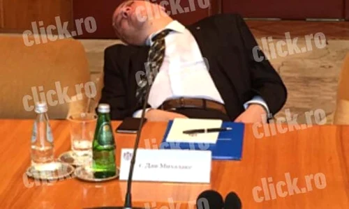 dan mihalache dormind jpeg
