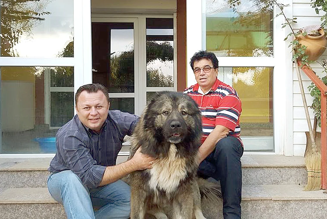 Dragoș e găzduit de finii Melinescu, din Lipia (Jud. Ilfov)