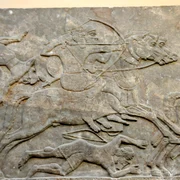 Assyrian cavalry charge the enemy, dating back to the reign of Ashurnasirpal II, 865 860 BCE  In this period, cavalry was relatively new  Detail of a gypsum wall relief from Nimrud, Iraq, currently housed in the Bri jpg
