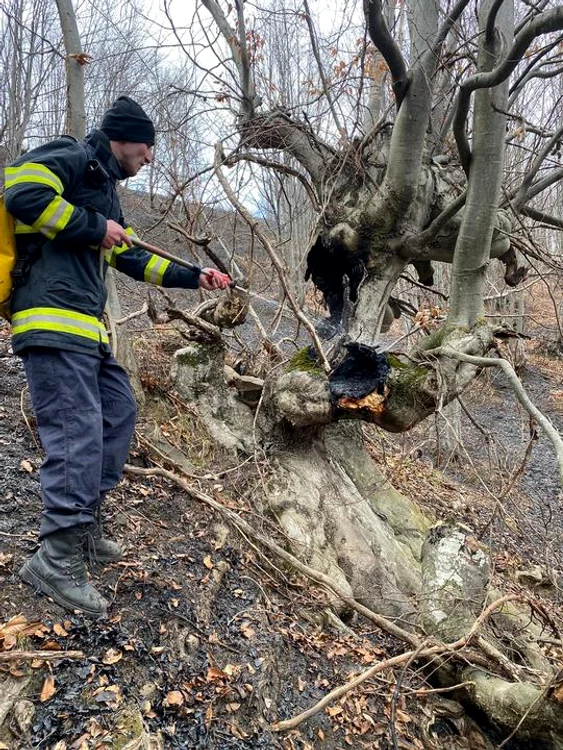 Pompierii vor rămâne în zonă pentru a preveni reizbucnirea incendiului FOTO ISU Bacău