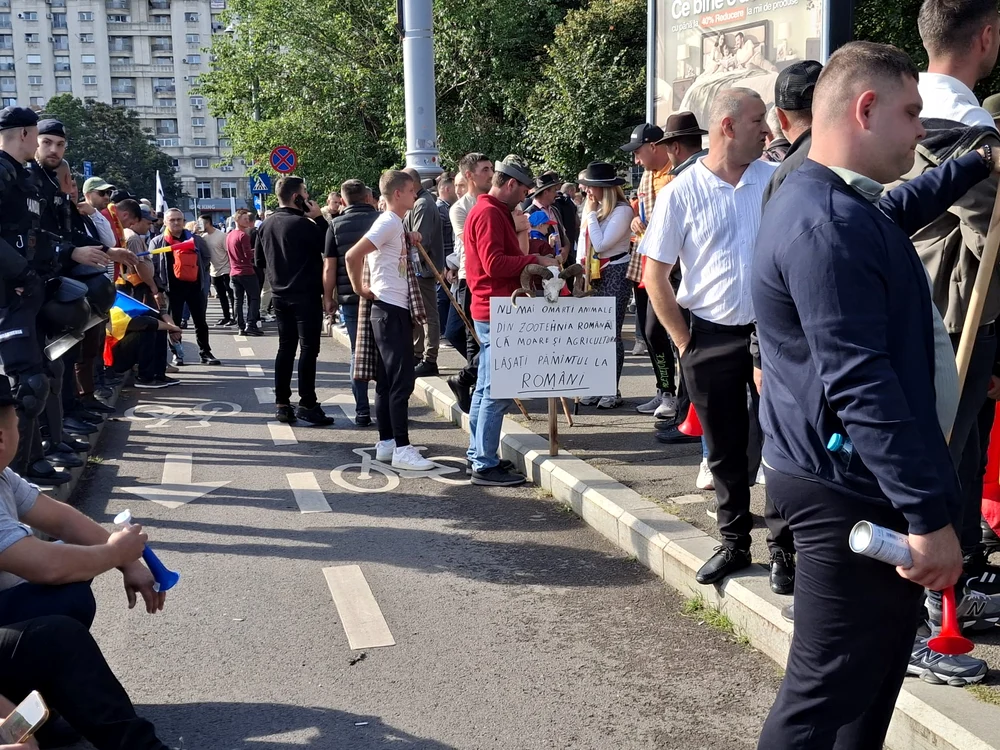 Protestatari_pașnici_fata_in_fata_cu_cordon_jandarmi_foto_c.stefan