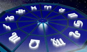 shutterstock 1431689015 jpeg