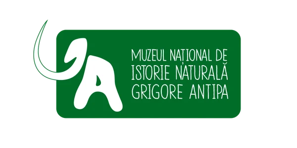 logo antipa 