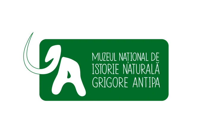 logo antipa