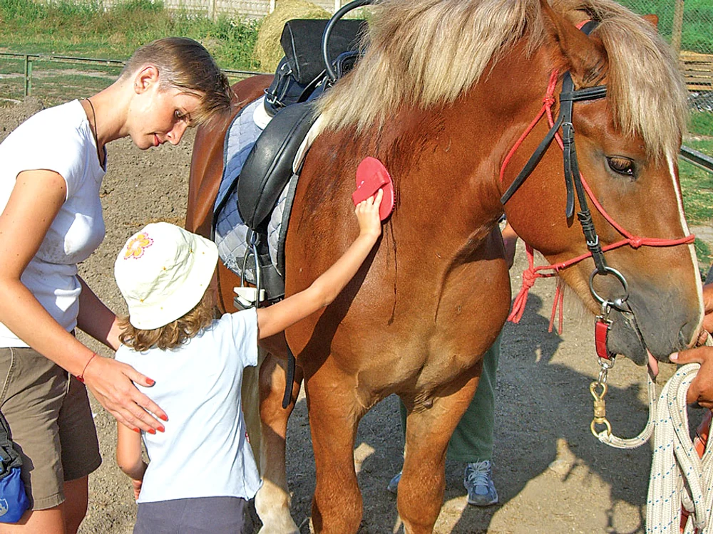 
    Hipoterapia tratează   autismul, sindromul  Down, paralizia  cerebrală şi alte boli  