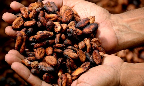 1 hands 2430200 1280 jpg jpeg