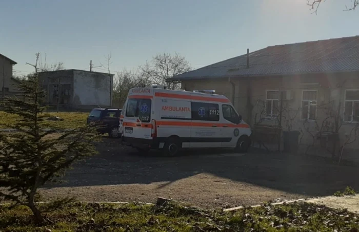 Sungura ambulanţă care a rămas în oraşul constănţean Hârşova FOTO Călin Gavrilaş